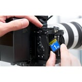 ADATA Premier Extreme SDXC SD8.0 1 TB, Speicherkarte schwarz, SD8.0 Express, UHS-I U3, Class 10, V30