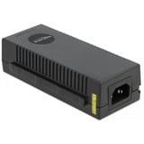 DeLOCK 10 Gigabit PoE+ Injektor 802.3at 30 W, PoE-Injektor schwarz