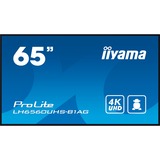 iiyama ProLite LH6560UHS-B1AG, Public Display schwarz (matt), UltraHD/4K, VA, Lautsprecher