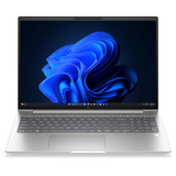 HP EliteBook 6 G2a (E02FYET), Notebook silber, AMD Ryzen 7 PRO 250, AMD Radeon 780M, 32 GB LPDDR5X, 1 TB (1 TB SSD), Windows 11 Pro