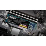 Kioxia Exceria G3 1 TB, SSD PCIe 5 x4, M.2 2280