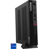 Lenovo ThinkStation P350 Tiny (30EF000JGE), PC-System schwarz, Windows 10 Pro 64-Bit