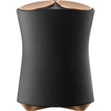 Sony SRS-RA5000, Lautsprecher schwarz, Bluetooth, WLAN, Klinke