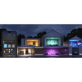 Govee 30cm RGBWW + RGBIC Round Smart Ceiling Light, LED-Leuchte 