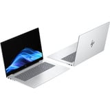 HP OmniBook 7 NGAI 17-dc0079ng, Notebook silber, Intel® Core™ Ultra 7 258V, NVIDIA GeForce RTX 4050, 32 GB LPDDR5X, 2 TB (2 TB SSD), Windows 11 Home