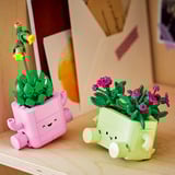 LEGO 11506 Botanicals Schaukelnde Pflanzen, Konstruktionsspielzeug 