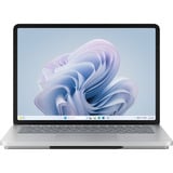 Microsoft Surface Laptop Studio 2 14" i7-1TB-64-W11H-Platin, Notebook platin, Intel® Core™ i7-13700H, NVIDIA GeForce RTX 4060, 64 GB LPDDR5X, 1 TB (1 TB SSD), Windows 11 Home, 1TB, i7