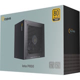 Ocypus Iota P850 Black, PC-Netzteil schwarz, 1x 12-Pin High Power GPU, 3x PCIe, Kabelmanagement, 850 Watt