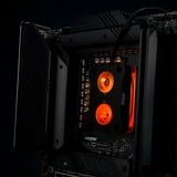 Thermal Grizzly Intel Mycro Direct-Die Pro RGB, Kühlkörper schwarz/transparent