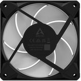 ARCTIC BioniX P12 A-RGB, Gehäuselüfter schwarz/weiß, 3er Pack, 120 mm