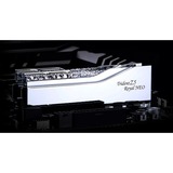 G.Skill DIMM 32 GB DDR5-8000 (2x 16 GB) Dual-Kit	, Arbeitsspeicher silber, F5-8000J3848H16GX2-TR5NS, Trident Z5 Royal Neo, AMD EXPO