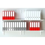 fischer Dübel SX Plus 8x40 S K hellgrau, 10 Stück, mit Schraube