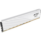 ADATA DIMM 32 GB DDR5-6000 (2x 16 GB) Dual-Kit, Arbeitsspeicher weiß, AX5U6000C3616G-DTLABWH, XPG Lancer Blade, INTEL XMP, AMD EXPO