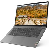 Lenovo IdeaPad 3 14ALC (82KT00CMGE), Notebook grau, ohne Betriebssystem, 256 GB SSD