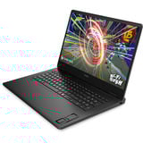OMEN 17-db1074ng, Gaming-Notebook schwarz, AMD Ryzen AI 7 350, NVIDIA GeForce RTX 5070, 16 GB DDR5, 1 TB (1 TB SSD), Windows 11 Home