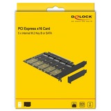 DeLOCK PCIe x16Karte > 5x M.2 Key B 