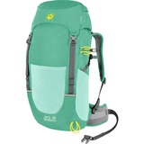 Jack Wolfskin PIONEER 22 PACK, Rucksack grün, 22 Liter