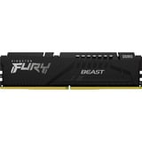 Kingston FURY DIMM 32 GB DDR5-5600, Arbeitsspeicher schwarz, KF556C36BBE2-32, Beast, INTEL XMP, AMD EXPO