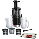 Slow Juicer VitaExtract, Entsafter