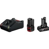 Bosch PRO Starter-Set 12V (1x GBA 12V 2.0Ah + 1 x GBA 12V 4.0Ah + GAL 12V-40 Professional) schwarz, 2x Akku + Ladegerät