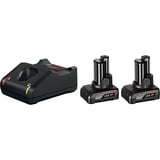 Bosch PRO Starter-Set 12V (2x GBA 12V 6.0Ah + GAL 12V-40 Professional) schwarz, 2x Akku + Ladegerät