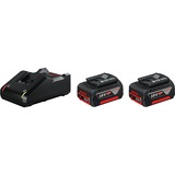 Bosch Starter-Set 2x GBA 18V 4,0Ah + GAL 18V-40 Professional schwarz