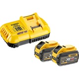 DEWALT Akku-Starter-Set DCB118X2T 54V 3Ah Ladegerät, 2x Akkus in Box