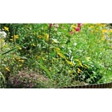 GARDENA Beeteinfassung, 20cm hoch, Begrenzung braun