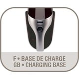 Rowenta AC 4461, Handstaubsauger blau/weiß