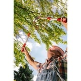 WOLF-Garten Amboss-Astschere Power Cut RS 900 T "Premium Plus" rot/grau, Teleskopstiele 65cm - 90cm