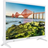 Telefunken XH24J501VD-W, LED-Fernseher 60 cm(24 Zoll), weiß, WLAN, DVD-Player, Triple Tuner