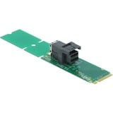 DeLOCK M.2 Key M zu SFF-8643 NVMe 22110 / 2280 / 2260, Schnittstellenkarte 