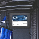 Patriot P210 256 GB, SSD schwarz, SATA 6 Gb/s, 2,5"