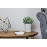 TP-Link DECO M5 3pack, Mesh Router weiß, drei Geräte