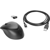 HP Wireless Premium Maus schwarz