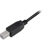 Sharkoon USB 2.0 Kabel, USB-A Stecker > USB-B Stecker schwarz, 0,5 Meter