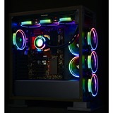 Enermax T.B. RGB AD 3 Pack 120x120x25, Gehäuselüfter schwarz, 120 mm
