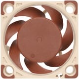 Noctua NF-A4x20 PWM, Gehäuselüfter 40 mm