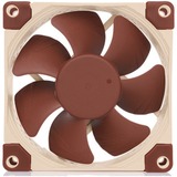 Noctua NF-A8 5V PWM, Gehäuselüfter 