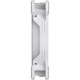 Thermaltake Riing Quad 14 RGB Radiator Fan TT Premium Edition 3 Pack, Gehäuselüfter weiß, 3er Set, 1x Controller, 140 mm