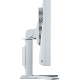 EIZO FlexScan S1934, LED-Monitor 48 cm(19 Zoll), grau, DVI, DisplayPort, VGA, Audio