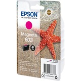 Epson Tinte magenta 603 (C13T03U34010) 