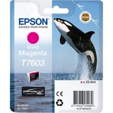 Epson Tinte magenta C13T76034010 