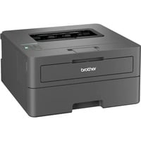 Brother HL-L2400DW, Laserdrucker dunkelgrau, USB, WLAN