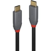 Lindy USB 3.2 Typ C Kabel, 5A PD, Anthra Line grau, 2m