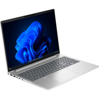 HP EliteBook X G2a (DL9Z9ET), Notebook silber, AMD Ryzen AI 5 435, AMD Radeon 840M, 32 GB LPDDR5X, 512 GB (512 GB SSD), Windows 11 Pro