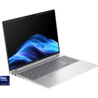 HP ProBook 4 G1i (AD2N7ET), Notebook silber, Intel® Core™ Ultra 5 225U, Intel® Graphics, 32 GB DDR5, 1 TB (1 TB SSD), Windows 11 Pro