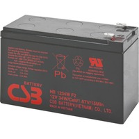 BlueWalker PowerWalker Battery CSB HR1234W, Batterie schwarz