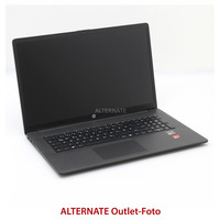 HP 17-cp3280ng, Notebook schwarz, AMD Ryzen 7 7730U, AMD Radeon Graphics, 16 GB DDR4, 512 GB (512 GB SSD), Windows 11 Home