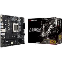 Biostar A620MS, Mainboard schwarz